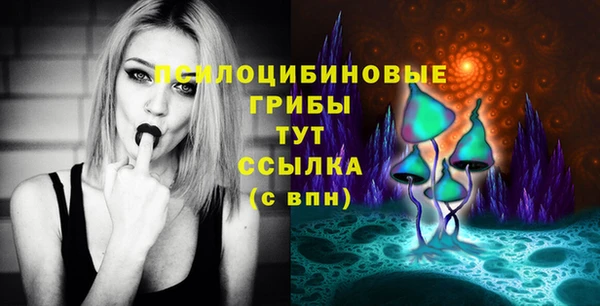 кокс Анива